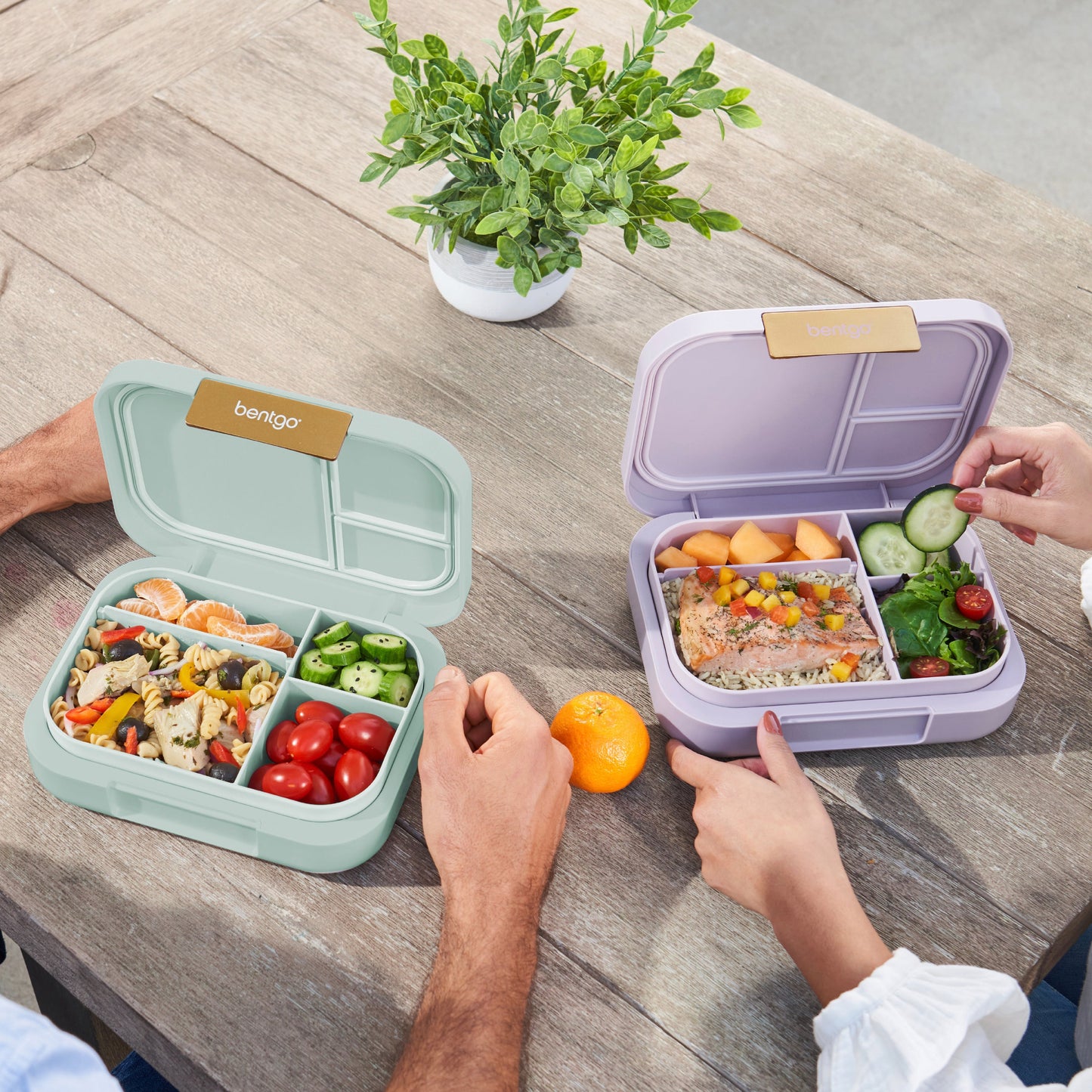 bentgo-modern-lunch-box-2-pack-c4 COSTCOBMCPRODUCTIMAGE_2.jpg